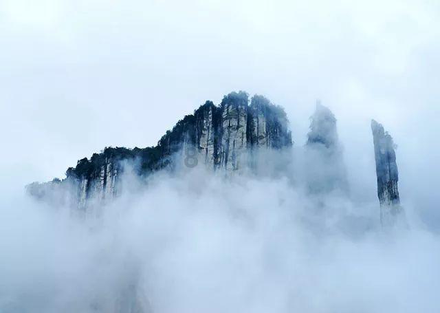 虫虫助手下载