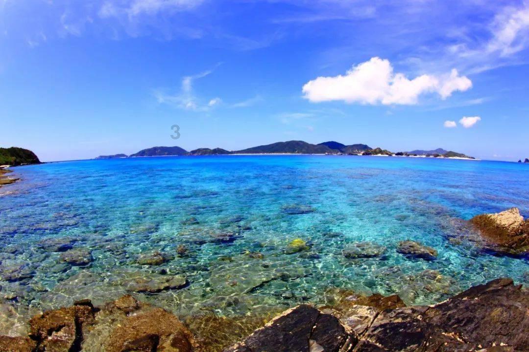 夏天的新娘