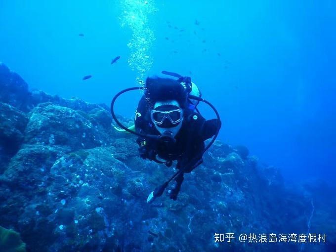 探探猫宝石岛3