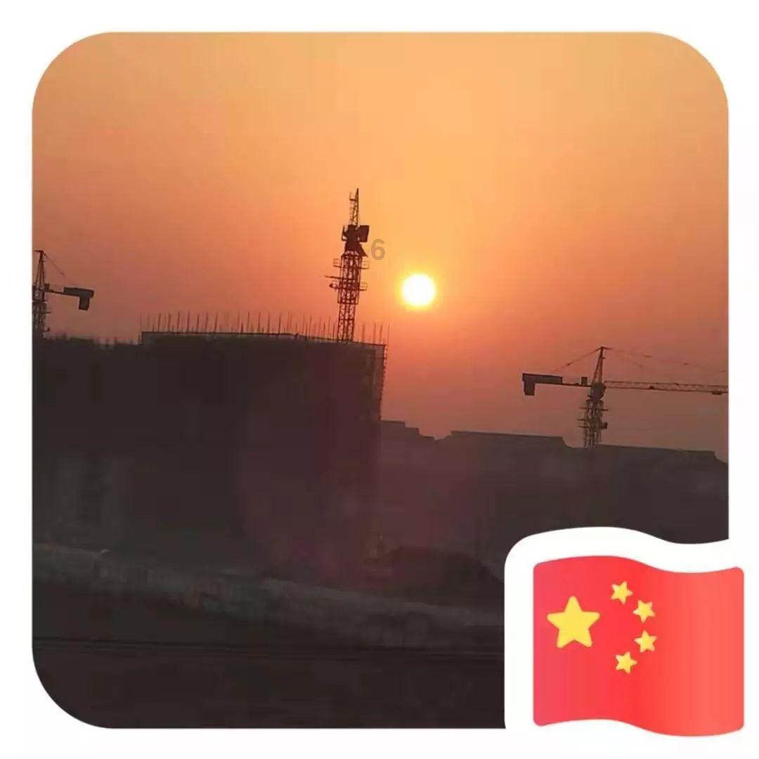 逃离大犀牛出没地