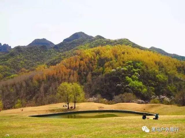 马关燕代表：“一块石头”的蜕变