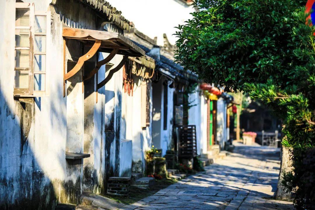 盗金父子俩4