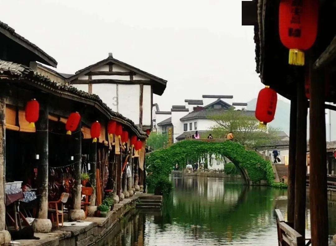 赏杂技,过大年 德州杂技团举办《山水国潮》专场演出致敬德州交警